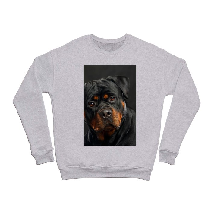 Rottweiler Dog Isolated On Black Background 33 Crewneck Sweatshirt