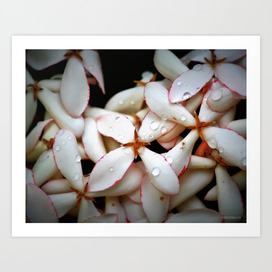 Refreshed Art Print