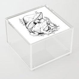Frog and Mushroom Acrylic Box