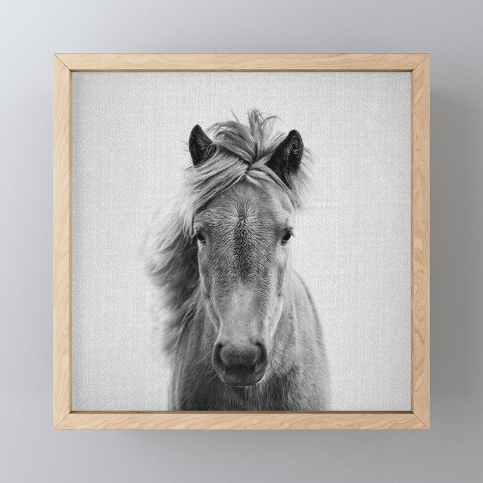 Wild Horse - Black & White Framed Mini Art Print