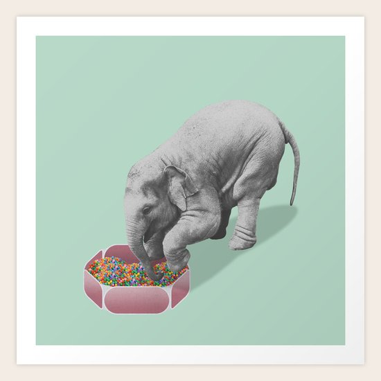 Gourmand elephant (animals collection) Art Print