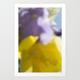 yellow and purple colours Art Print