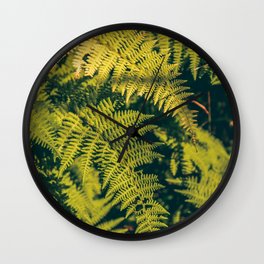 A green fern plants background with shadows.  Wall Clock