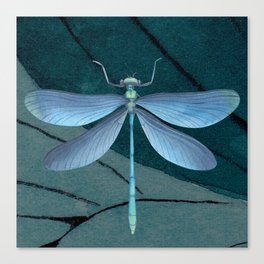 Dragonfly drawing Canvas Print