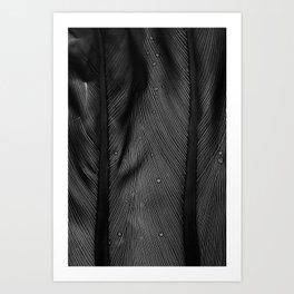 Plant leaf detail, macro fine art high contrast black and white monochromatic photography Art Print