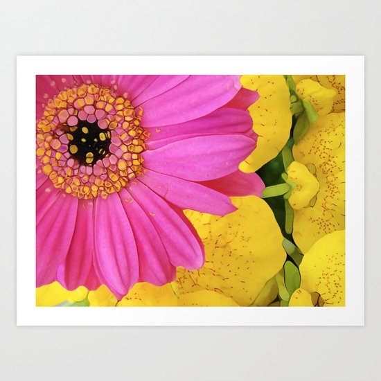 STELLA!!!!!!!! Art Print