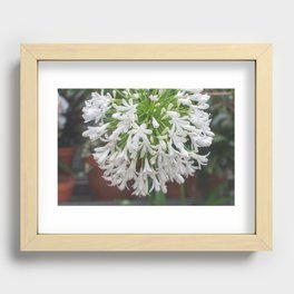 white flowers III Recessed Framed Print