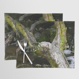 Upraised Placemat