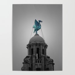 Liverbird in Piercing Blue Poster