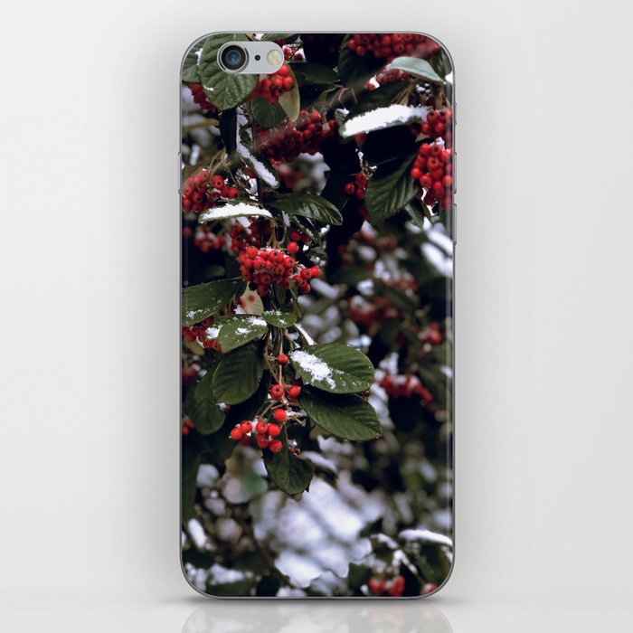 winterberries iPhone Skin