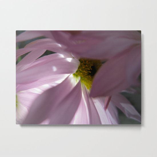 PINK PETALS 38 Metal Print