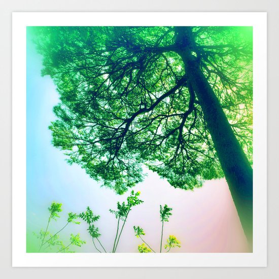 Too Close To The Heaven Art Print