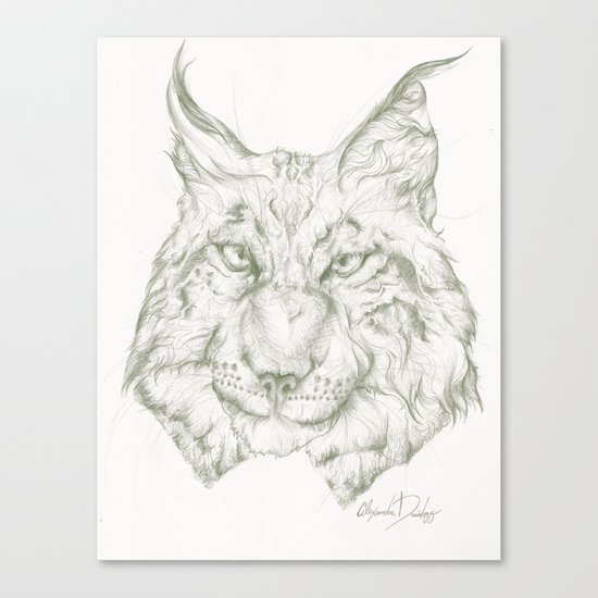 Lynx Canvas Print