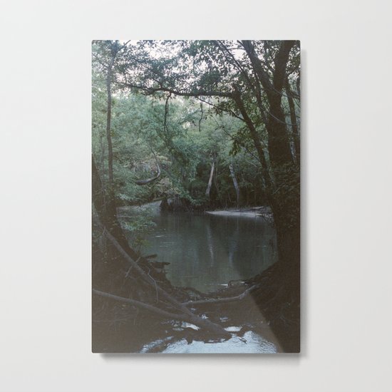 Drabby Swampy Creek Metal Print