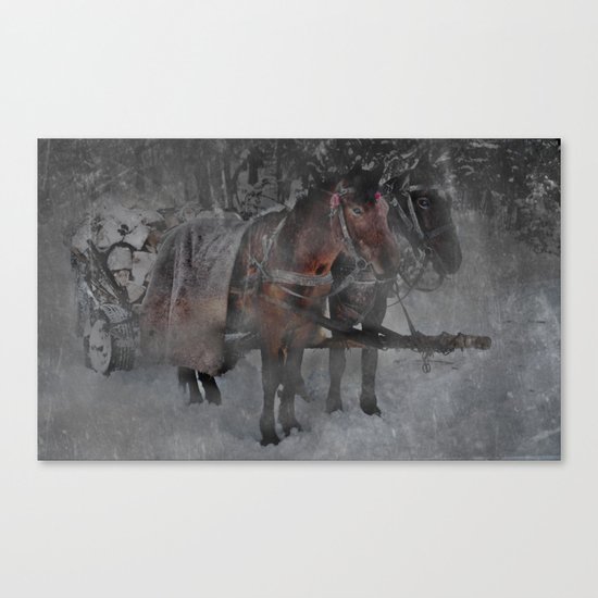 Those wild winter days Canvas Print