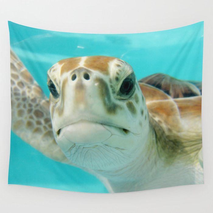 Mexico Photography - Sea Turtle In The Beautiful Water Wall Tapestry