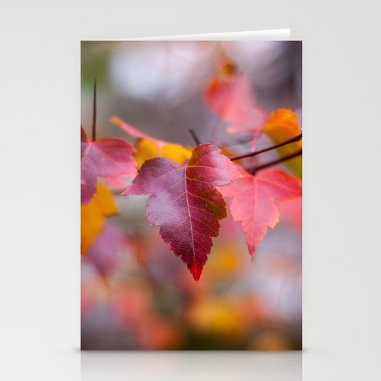 Red Stationery Cards