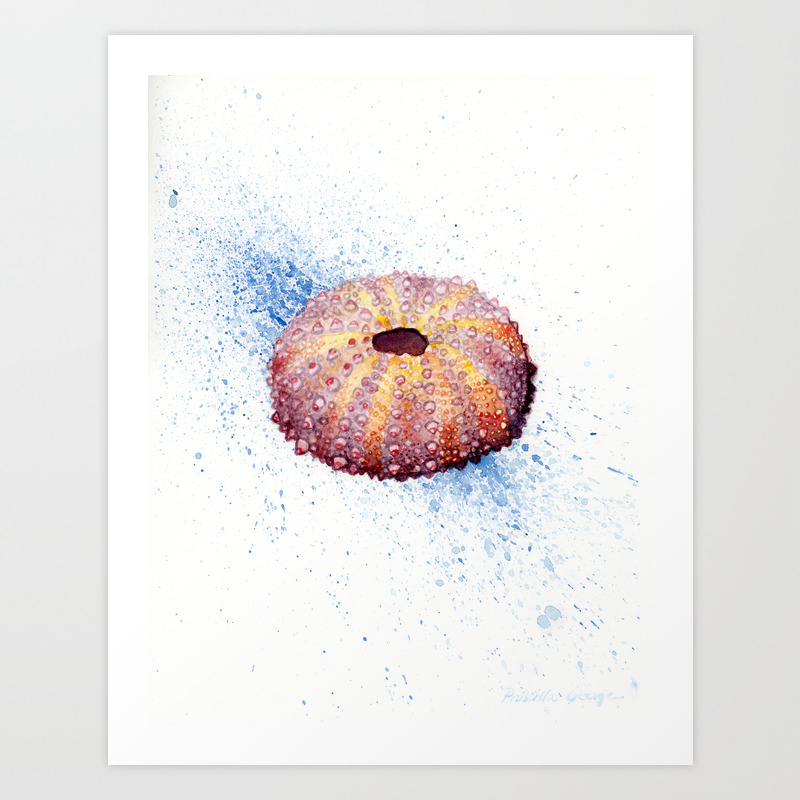 Sea Urchin Shell Art Print By Priscillageorge Society6