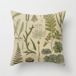 Ferns And Mosses Throw Pillow