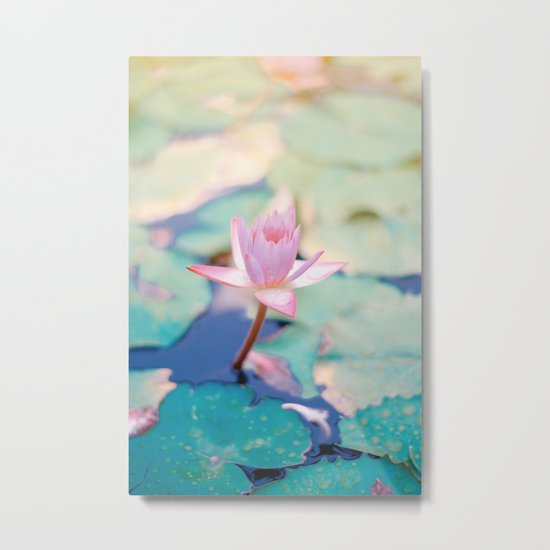 Cute Pink Blooming Lotus Metal Print