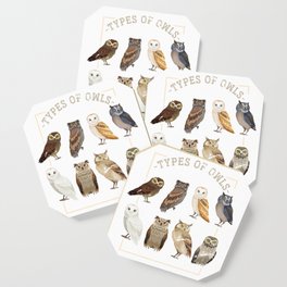 Types Of Owl Coaster