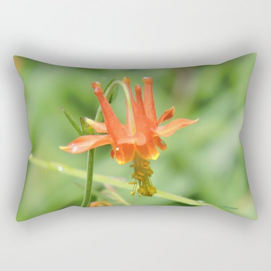Columbine in the Breeze Rectangular Pillow