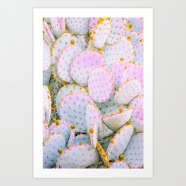 Prickly Pear Photography Pastel Cactus Art Print