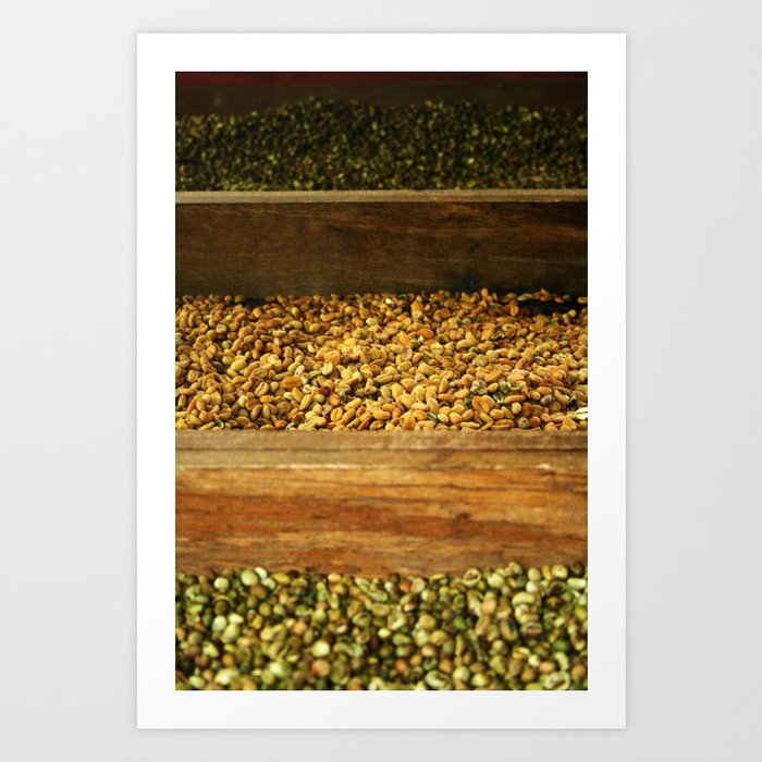 Bali - Coffee Beans Art Print