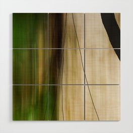 Forest, Water, Lines - abstract nature photograph long explosure Wood Wall Art
