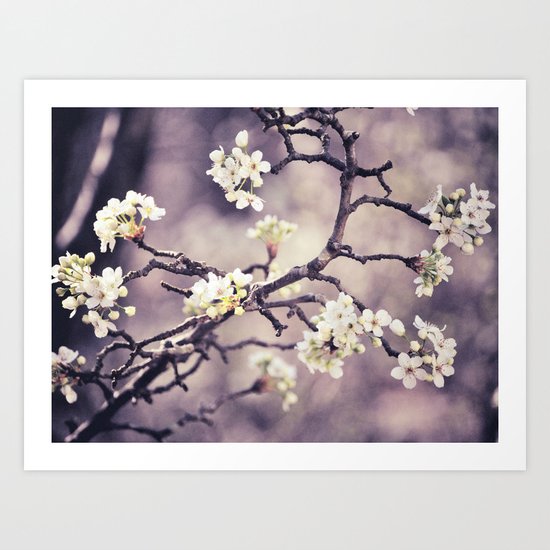 Blossom Branch Art Print