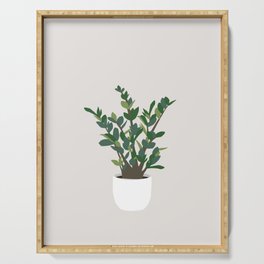 Minimal Art - Indoor Plant, ZZ Plant Serving Tray