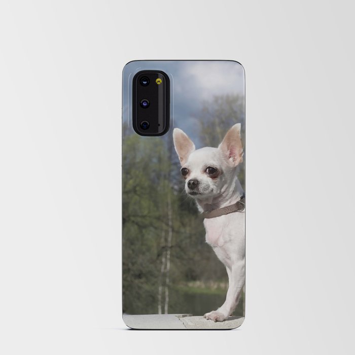 Small White Chihuahua Dog Sits On  Android Card Case