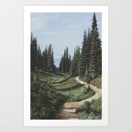 Mountain Trail Art Print