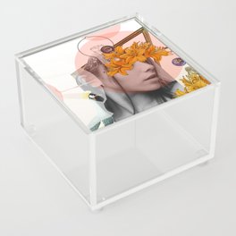 Dreamland Division · D Acrylic Box