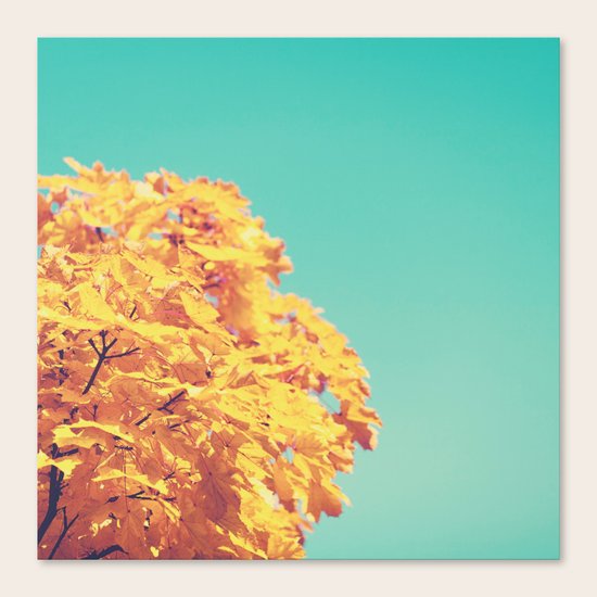 Fallen Canvas Print