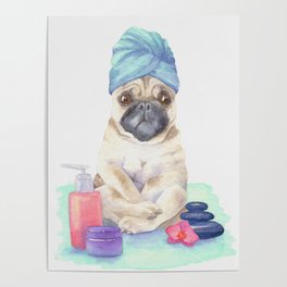 Spa day for a pug Poster