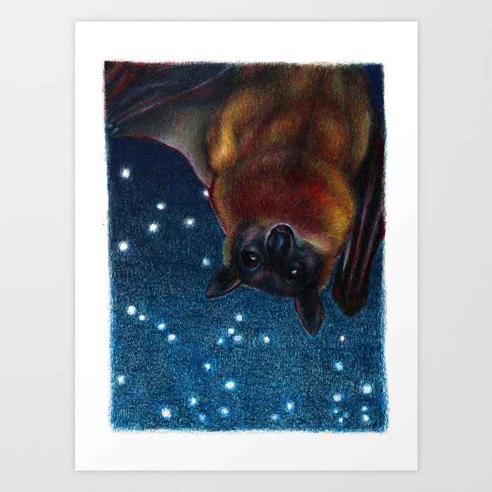 Bat Drawing Colored Pencil Wildlife Art Art Print