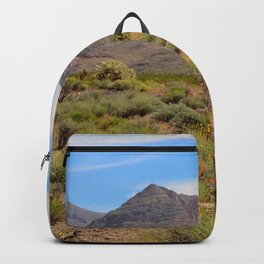 Painted Desert - II Backpack