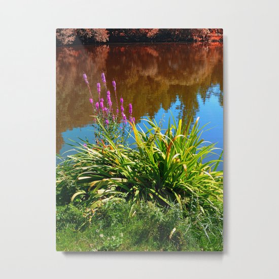 Flowers at the pond Metal Print