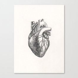 Human heart Canvas Print