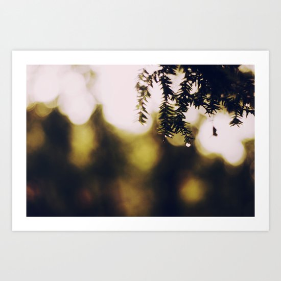 It Had Just Rained Art Print