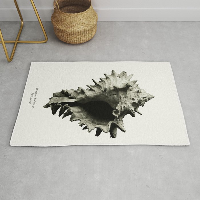 fossils nature Rug