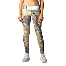 Autumn trail in the woods Leggings
