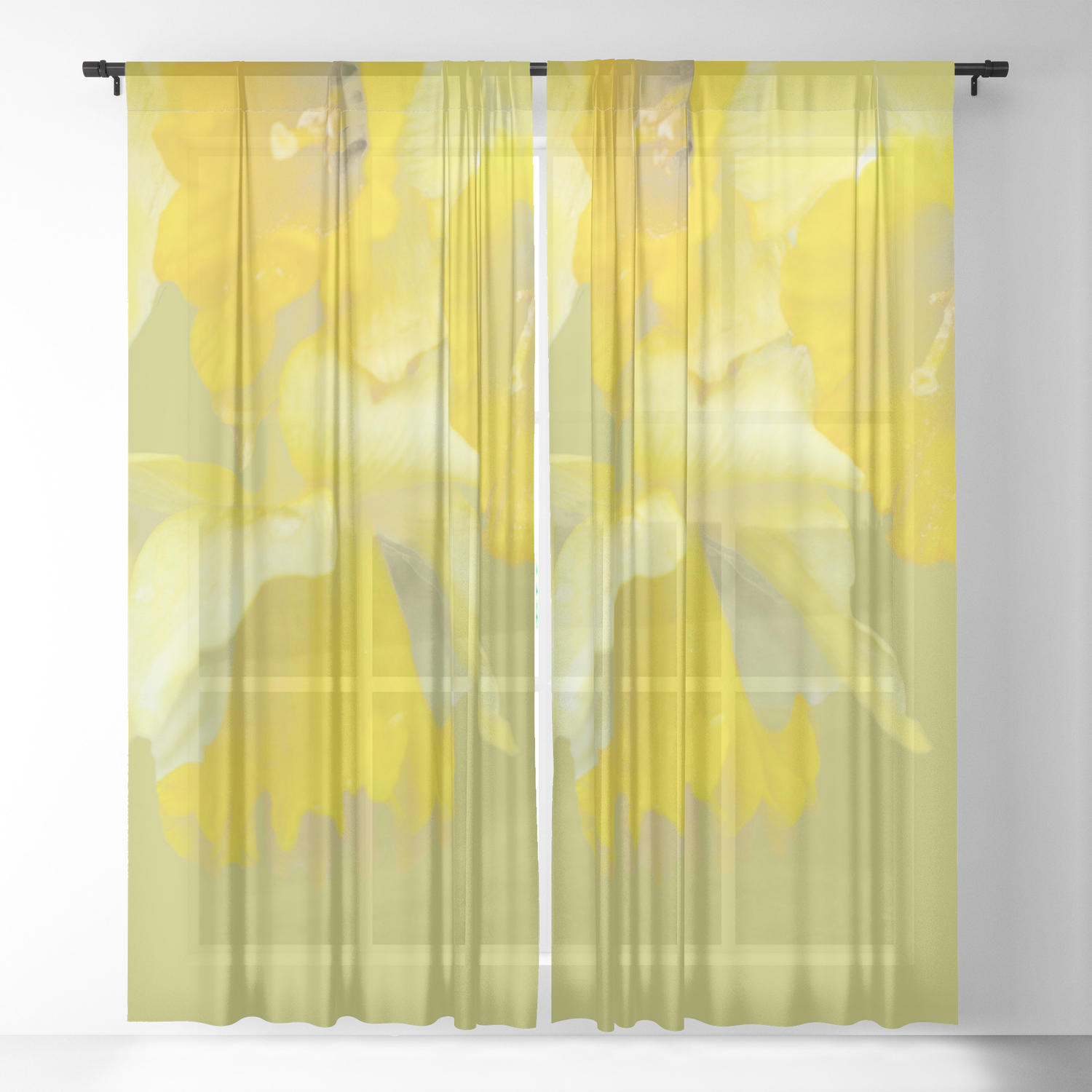 Sign Of Spring Yellow Narcissus On Spring Green Background Sheer