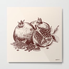 Pomegranate  Metal Print