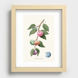 Macaron Plant Recessed Framed Print