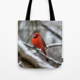 Male Cardinal Tote Bag