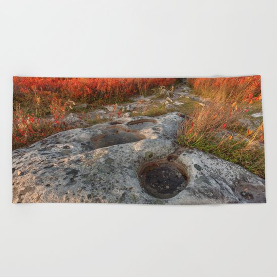Autumn Huckleberry Fossil Beach Towel