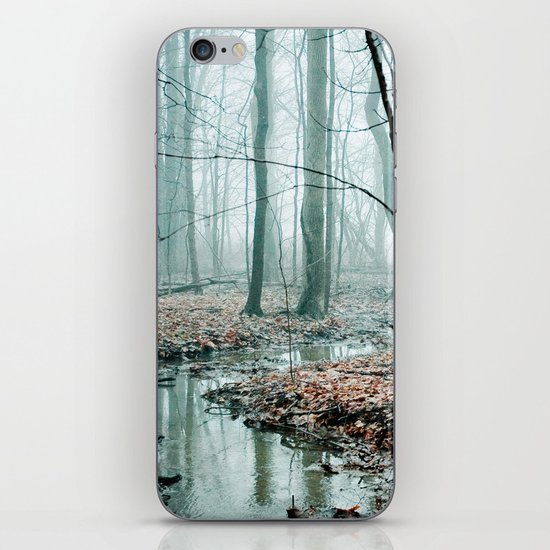 Gather up Your Dreams iPhone & iPod Skin