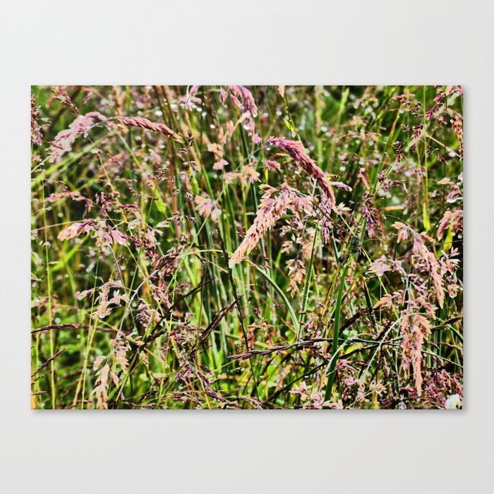 Scottish Highlands Wild Long Summer Grass in I Art Canvas Print